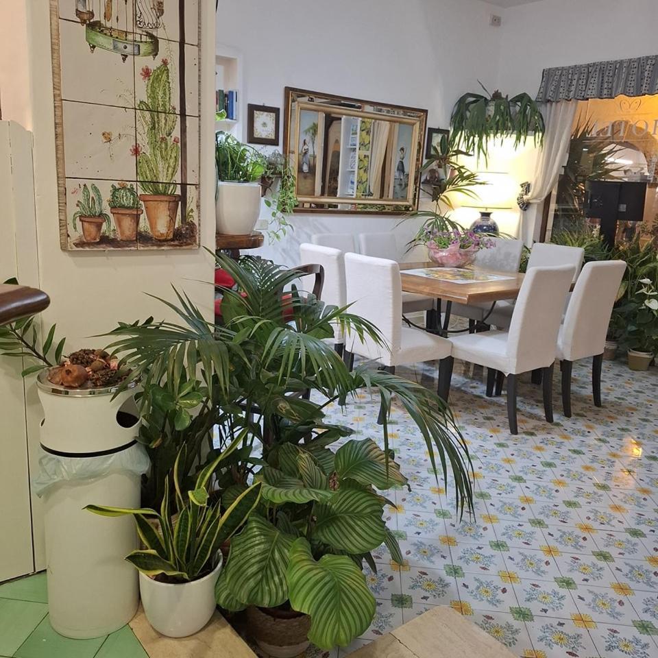 Hotel Villa Verde Forio di Ischia エクステリア 写真